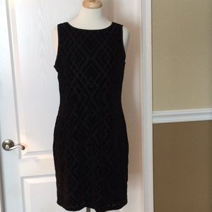 WHBM Sleeveless Velvet Party Dress